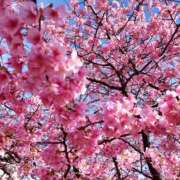 ヒメ日記 2026/02/28 21:22 投稿 モモ 厚木オイルリンパ性感　厚木メンズエステm