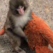 ヒメ日記 2026/03/10 18:36 投稿 モモ 厚木オイルリンパ性感　厚木メンズエステm