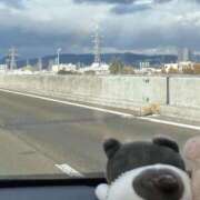 ヒメ日記 2025/11/21 13:31 投稿 あずさ 若妻淫乱倶楽部　越谷店