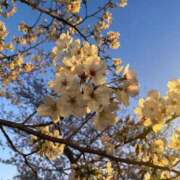 ヒメ日記 2026/04/03 17:52 投稿 わかな 密着指導！バカンス学園 尼崎校