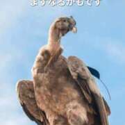 ヒメ日記 2025/09/10 13:52 投稿 ミツキ☆神対応の逸材 姫1広島店