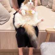 ヒメ日記 2025/08/21 20:18 投稿 れお 沖縄素人図鑑