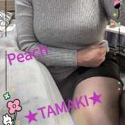 ヒメ日記 2026/03/05 13:09 投稿 たまき 激安ピーチ