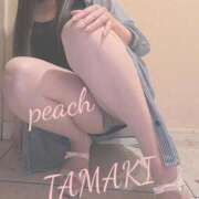 ヒメ日記 2026/04/10 00:29 投稿 たまき 激安ピーチ