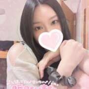 ヒメ日記 2026/01/30 04:00 投稿 こすず びちょ美女