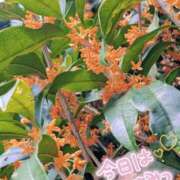 ヒメ日記 2025/10/29 17:21 投稿 かなめ 人妻ちゃんねる