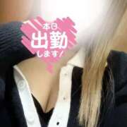 ヒメ日記 2026/01/08 17:40 投稿 翼（つばさ） 女々艶 厚木店