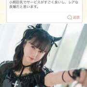 ヒメ日記 2025/11/14 11:30 投稿 はじめ EXE（エグゼ）