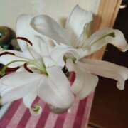 ヒメ日記 2025/10/22 11:02 投稿 アスカ ミセスClub