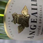 ヒメ日記 2026/02/15 23:19 投稿 アスカ ミセスClub