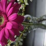 ヒメ日記 2026/03/20 07:47 投稿 アスカ ミセスClub