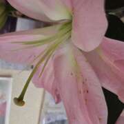 アスカ おはようございます☂️ ミセスClub