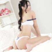 ヒメ日記 2025/10/23 10:46 投稿 ツムギ ピカソ