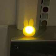 ツムギ らすしゅ❣️ ピカソ