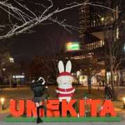 ヒメ日記 2025/12/15 20:30 投稿 ツムギ ピカソ