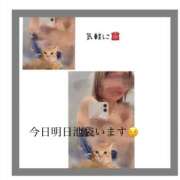 ヒメ日記 2026/03/15 19:15 投稿 ろーず バイオレンス