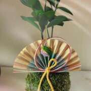 ヒメ日記 2026/01/24 08:38 投稿 【熟女】しの 人妻華道－上田店