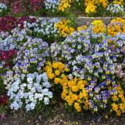 つむぎ [お題]from:エクササイズさん ぷるるん小町 京橋店