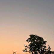 ヒメ日記 2025/09/18 16:13 投稿 岸 熟女の風俗最終章 新横浜店