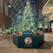 ヒメ日記 2025/12/25 06:06 投稿 岸 熟女の風俗最終章 新横浜店