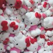 ヒメ日記 2025/08/30 11:55 投稿 あき 池袋マリン別館