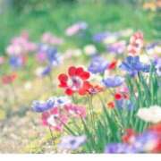 ヒメ日記 2025/08/17 10:53 投稿 音琶みこと(おとわみこと) 九州熟女　熊本店