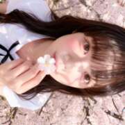 ヒメ日記 2026/05/21 03:05 投稿 あいら E+アイドルスクール 大阪・日本橋店