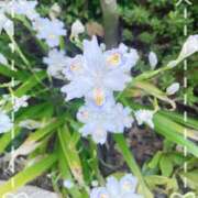 ヒメ日記 2025/08/17 08:11 投稿 みなせ 錦糸町ミセスアロマ（ユメオト）