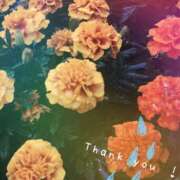 ヒメ日記 2025/09/05 15:19 投稿 みなせ 錦糸町ミセスアロマ（ユメオト）