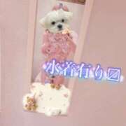 ヒメ日記 2026/06/04 10:32 投稿 みらい with SPA (ウィズスパ)