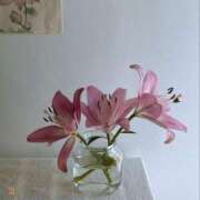 るあ おはようございます！ ギン妻パラダイス 堺東店