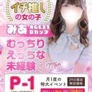 ヒメ日記 2025/09/29 16:20 投稿 まり 白いぽっちゃりさん