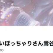 ヒメ日記 2025/11/01 00:02 投稿 まり 白いぽっちゃりさん