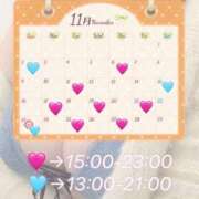 ヒメ日記 2025/11/01 07:12 投稿 まり 白いぽっちゃりさん