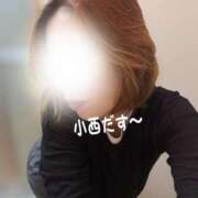 ヒメ日記 2025/10/13 20:25 投稿 小西 松戸おかあさん