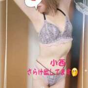 ヒメ日記 2025/10/21 10:45 投稿 小西 松戸おかあさん