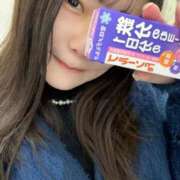 ヒメ日記 2026/02/15 12:11 投稿 青羽【アオバ】 ピンクコレクション大阪