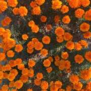 ヒメ日記 2025/12/15 14:18 投稿 ゆう 全裸の女神orいたずら痴漢電車