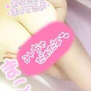 ヒメ日記 2025/09/27 15:03 投稿 まこ 山梨甲府甲斐ちゃんこ