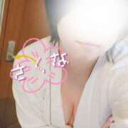 ヒメ日記 2025/10/02 15:51 投稿 さくな モアグループ宇都宮人妻花壇