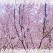 ヒメ日記 2026/04/01 18:03 投稿 いのり eroina