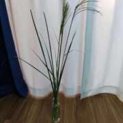 ヒメ日記 2025/10/09 23:03 投稿 ふみ 人妻㊙︎倶楽部