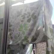 ヒメ日記 2026/03/07 16:40 投稿 ふみ 人妻㊙︎倶楽部