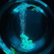 ヒメ日記 2025/11/12 18:12 投稿 るり 君とふわふわプリンセスin立川