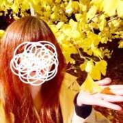 ヒメ日記 2025/11/18 22:52 投稿 るり 君とふわふわプリンセスin立川