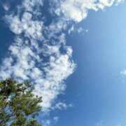 ヒメ日記 2026/01/12 23:52 投稿 るり 君とふわふわプリンセスin立川