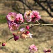 ヒメ日記 2026/02/19 18:12 投稿 るり 君とふわふわプリンセスin立川