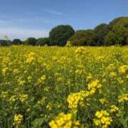 るり 🚗³₃ 君とふわふわプリンセスin立川