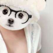 ヒメ日記 2025/08/14 15:34 投稿 このか 学園collection