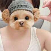 ヒメ日記 2025/08/17 15:24 投稿 このか 学園collection